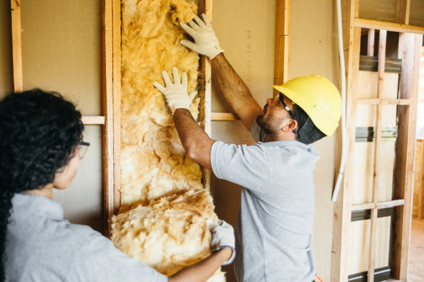 Best Insulation Replacement  in Geneva, IL